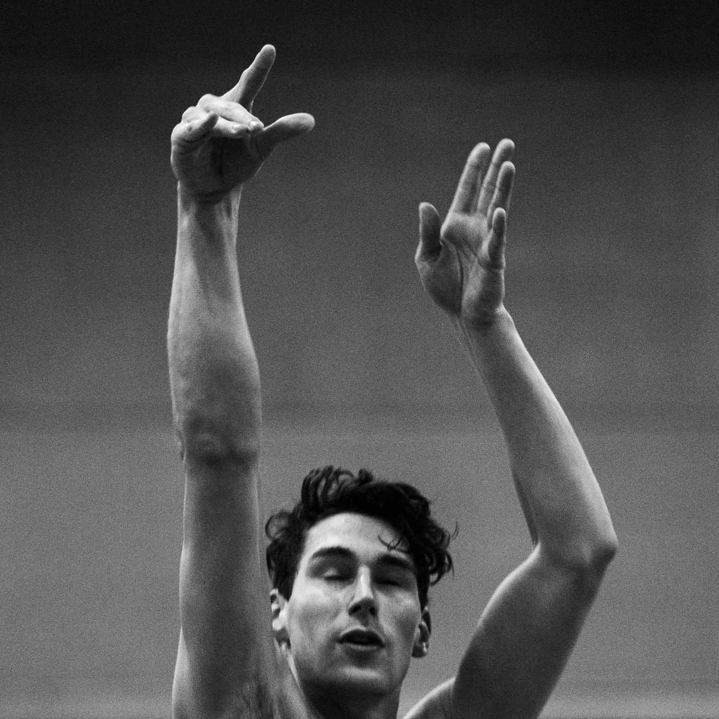 De Morgen - Wide Vercnocke